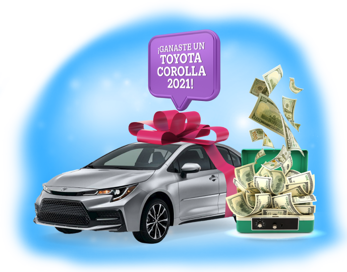 Imagen del auto que se sorteará en esta campaña